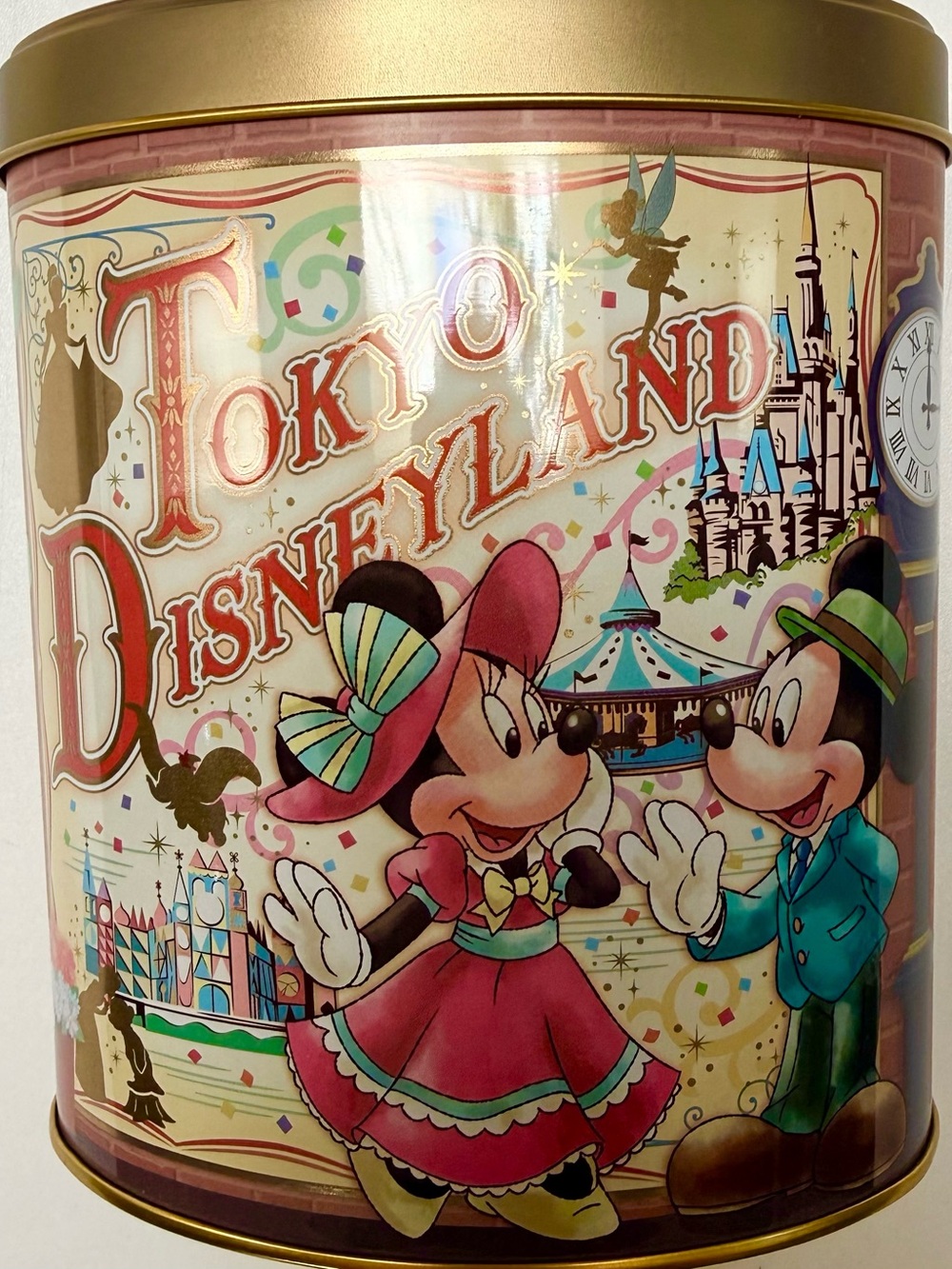 Disney Tokyo Resort Floral Collectible Tin - Burgundy, Yellow, Pink, Teal